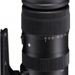 SIGMA 60-600mm f/4.5-6.3 DG OS HSM Sports Canon recenze