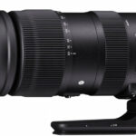 SIGMA 60-600mm f/4.5-6.3 DG OS HSM Sports Nikon F-mount recenze
