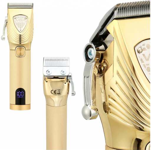 VGR Voyager zlatý recenze