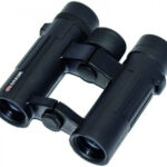 Braun COMPAGNO 8×26 WP recenze