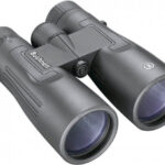 Bushnell 10×50 Legend recenze