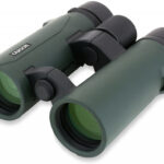 Carson RD Series 8×42 recenze