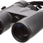 Dontop Optics 10×42 recenze