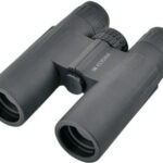 Kodak BCS600 12×32 recenze