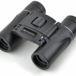 Kodak Binocular BCS200 8×21 recenze