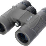 Levenhuk Nitro 8×32 recenze