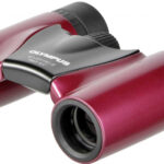 Olympus Slim 8×21 RC II recenze