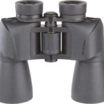 Solognac Porro 100 10×50 recenze