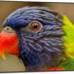 DynaScan DS752LR4 recenze