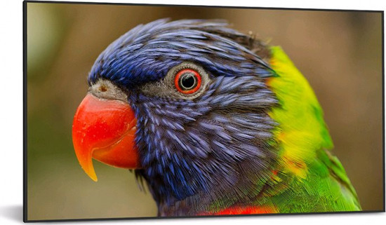 DynaScan DS752LR4 recenze