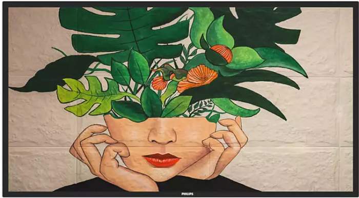 Philips 65BDL4650D recenze