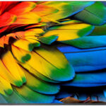 Philips 75HFL6214U recenze