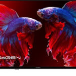 GoGEN TVF 40P420T recenze