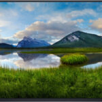 Dell P2425HE 210-BMTC recenze