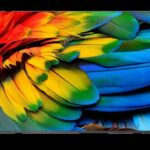 Philips 50HFL6214U recenze