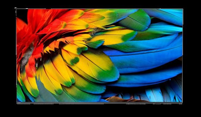 Philips 50HFL6214U recenze