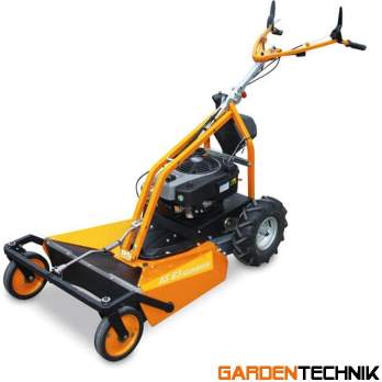 AS-MOTOR AS 62 4T B&S recenze