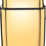 Babyliss Pro Double Foil Metal Shaver FXFS2GE Gold recenze