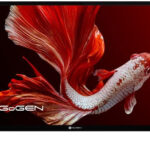 GoGEN TVH 32P750 recenze