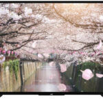 JVC LT-50VU2205 recenze