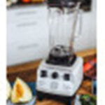 Omniblend Love of Raw recenze