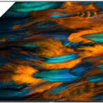 Sony FW 85BZ40H recenze