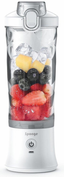 Sponge SPONBLW01 recenze