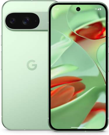 Google Pixel 9 12GB/256GB Wintergreen recenze