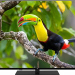 JVC LT-55VU6355 recenze