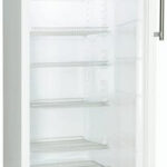 Snaige CC31SM-T100FE recenze