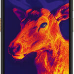 Ulefone Armor 25T 4G 8GB/256GB Frost Black recenze