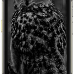 Ulefone Armor 27 4G LTE 12GB/256GB Black recenze