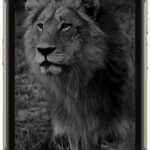 Ulefone Armor 27 Pro 5G 12GB/256GB Black recenze