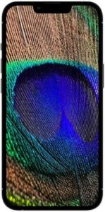 Fotografie Apple iPhone 13 Pro 256GB Graphite  recenzía