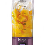 Ninja BC151EUPR recenze