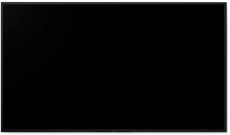 Sony FW-65BZ40L recenze