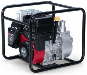 Fotografie Briggs & Stratton WP 2-60  recenzía