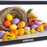 Feelworld Andycine T6 recenze