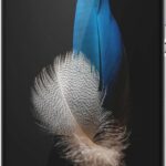 Huawei P8 Lite 2015 Dual SIM Black recenze