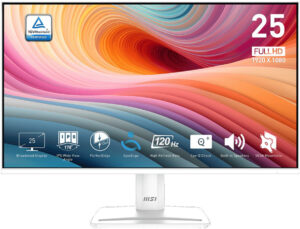 Fotografie MSI PRO MP251W E2  recenzía