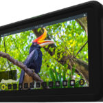 Atomos Shinobi recenze