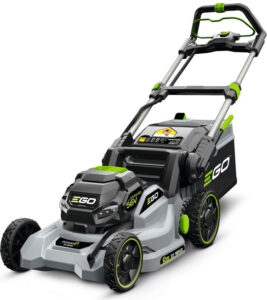 Fotografie EGO LM1701E-SP  recenzía