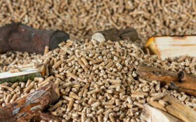 Malé a střední podniky objevují výhody peletovacích technologií