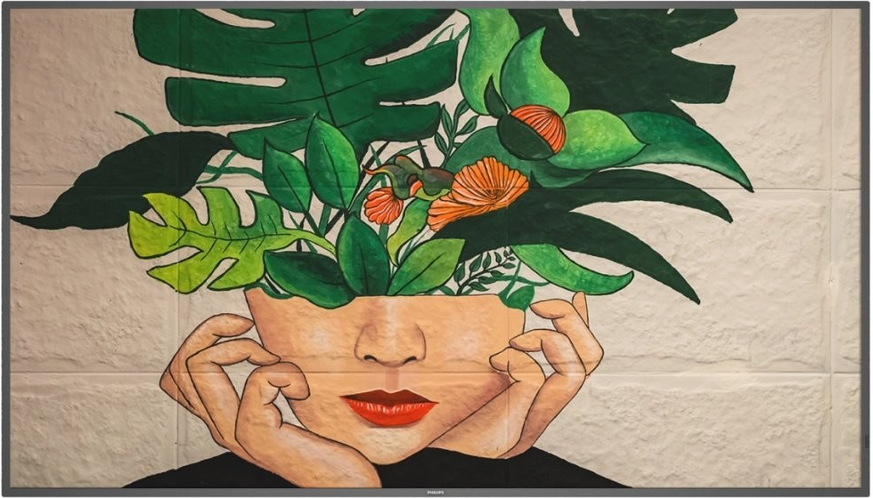 Philips 65BDL4550D recenze