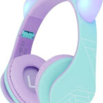 PowerLocus P2 Cats Ears recenze