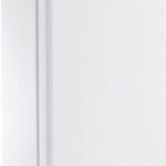 Save BD 600W recenze