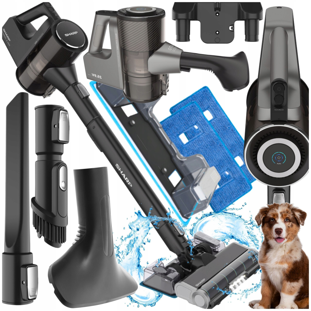 Sharp AKU SA-VP5551GS recenze