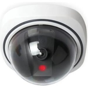 Fotografie Bentech Dummy Dome 1  recenzía