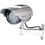 Bentech Dummy recenze