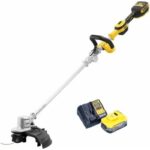 DeWALT DCMST561H1 recenze